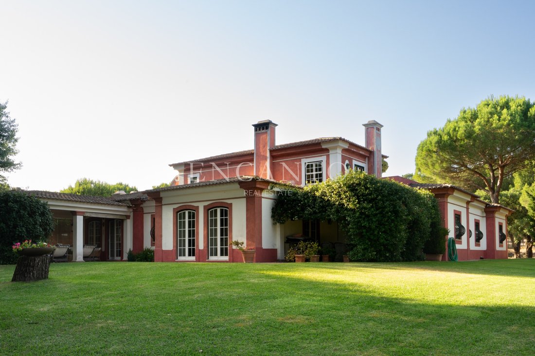 Finca in Santo Estevao, Santarem District, Portugal 4 - 18323073