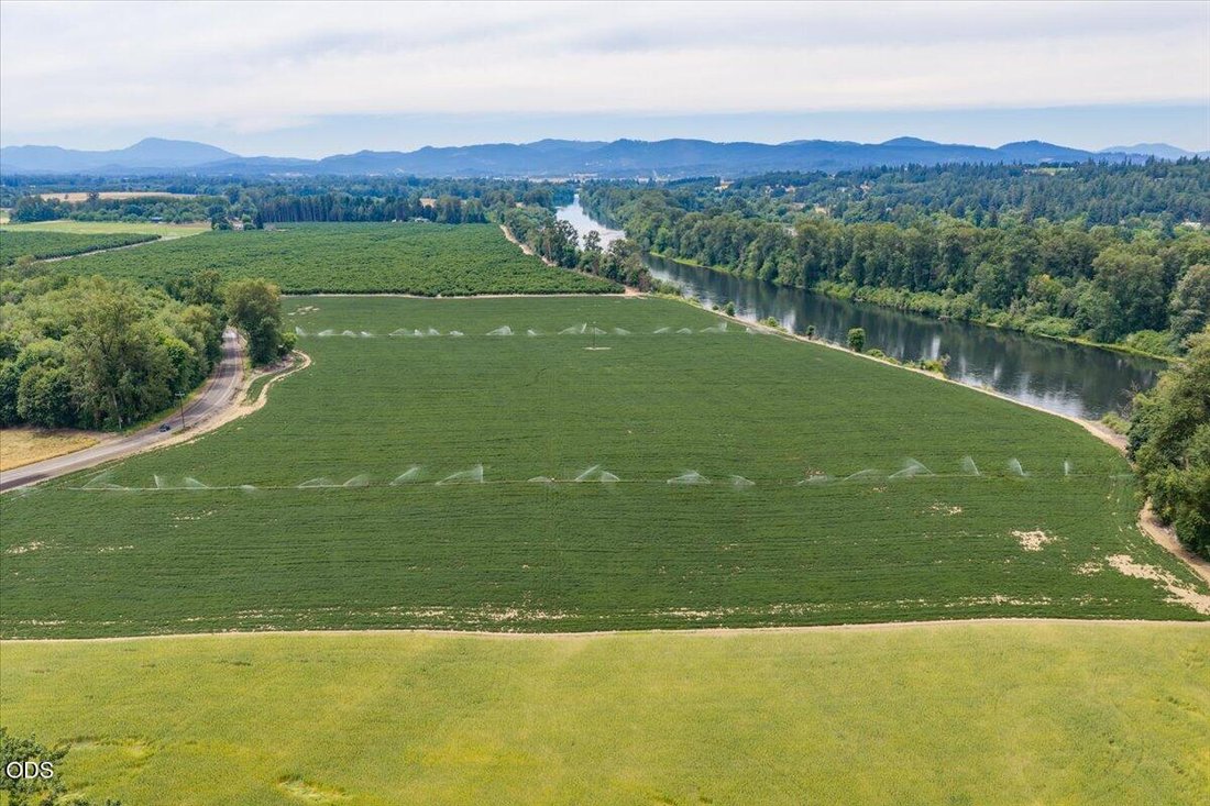 Azienda agricola a Albany, Oregon, Stati Uniti 4 - 18322354