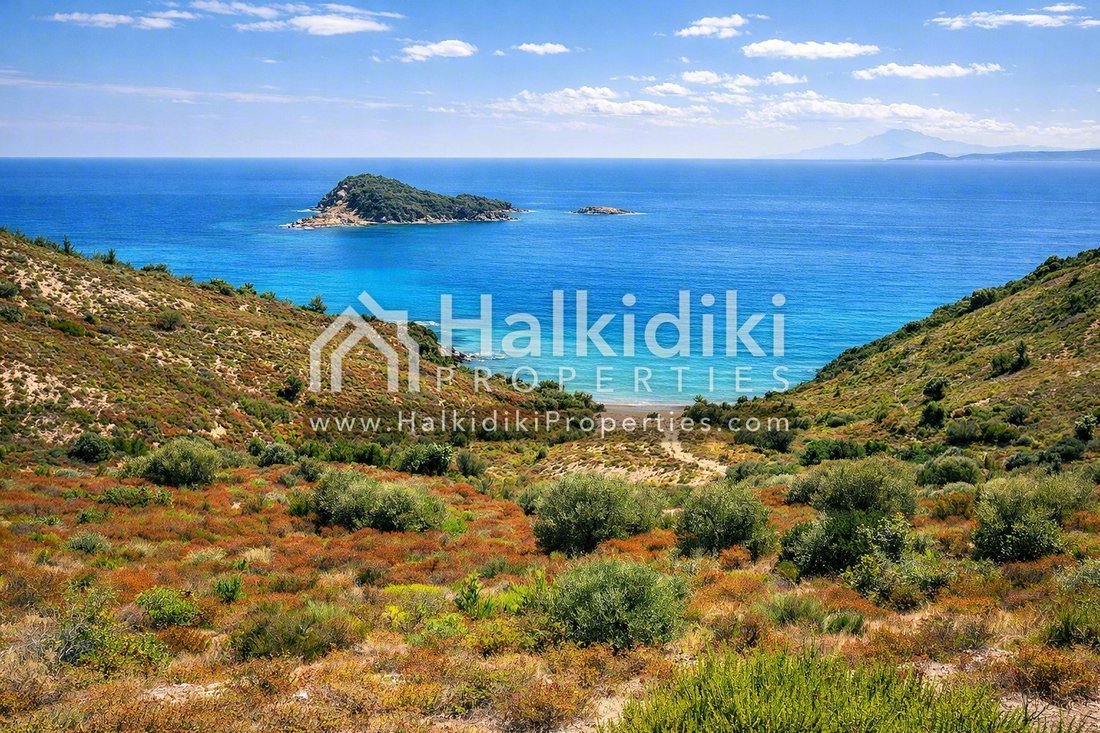 Land in Aristotle, Macedonia and Thrace, Greece 4 - 13879748