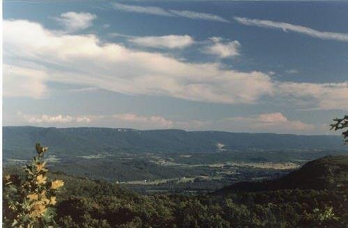 Land in Pikeville, Tennessee, United States 2 - 18317899