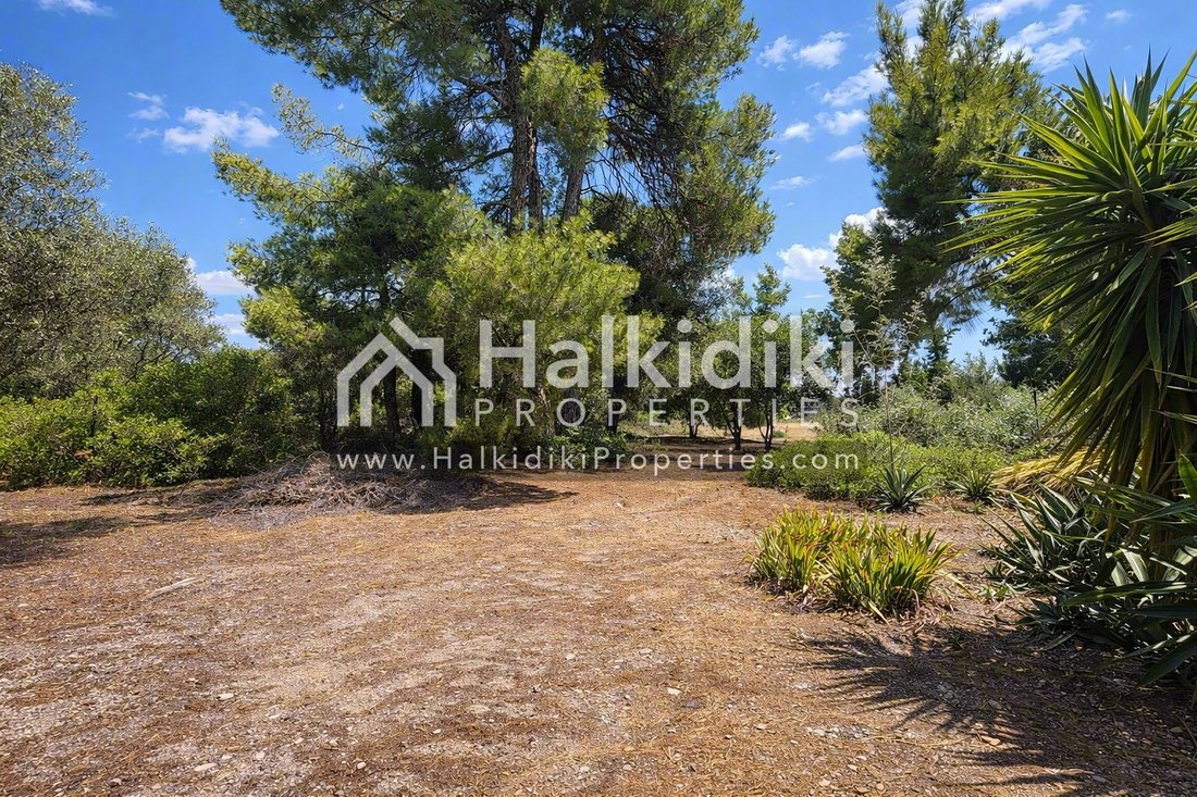House in Sithonia, Macedonia and Thrace, Greece 4 - 18322867