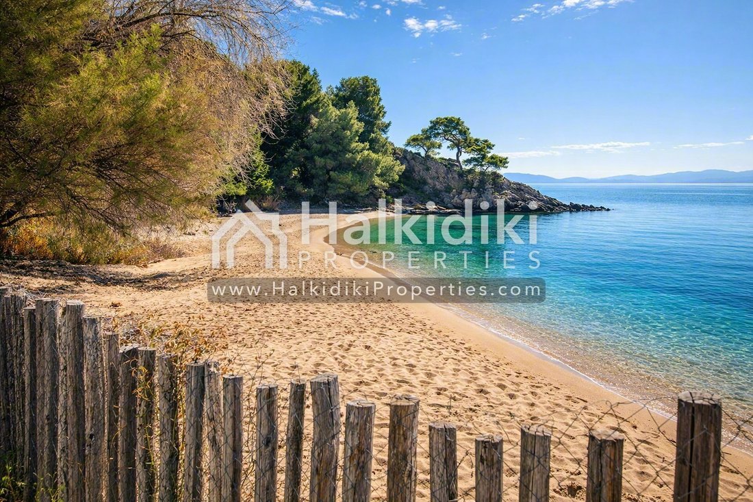 Land in Sithonia, Macedonia and Thrace, Greece 4 - 12371147