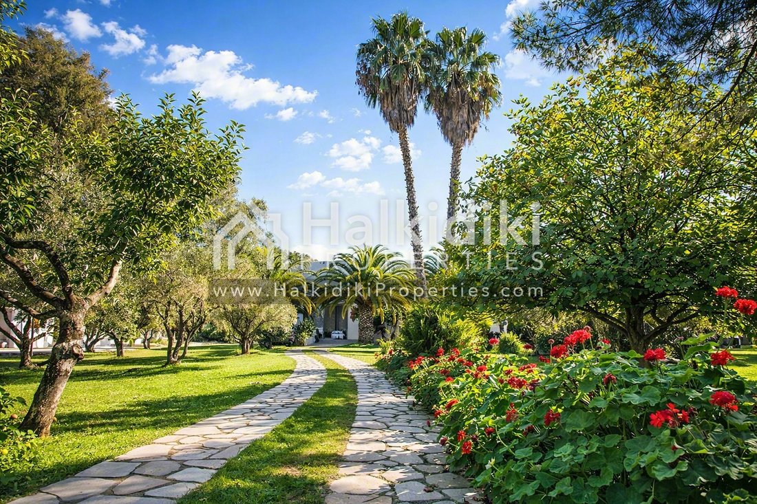 Land in Sithonia, Macedonia and Thrace, Greece 3 - 12371147