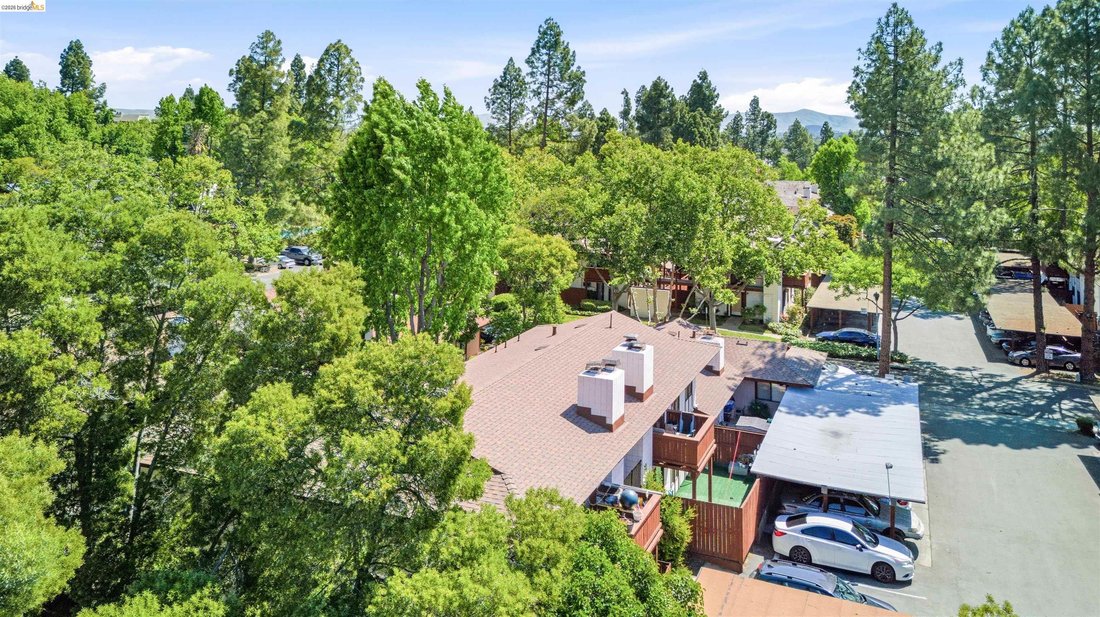 Pleasant Hill, California, United States 3 - 18322052
