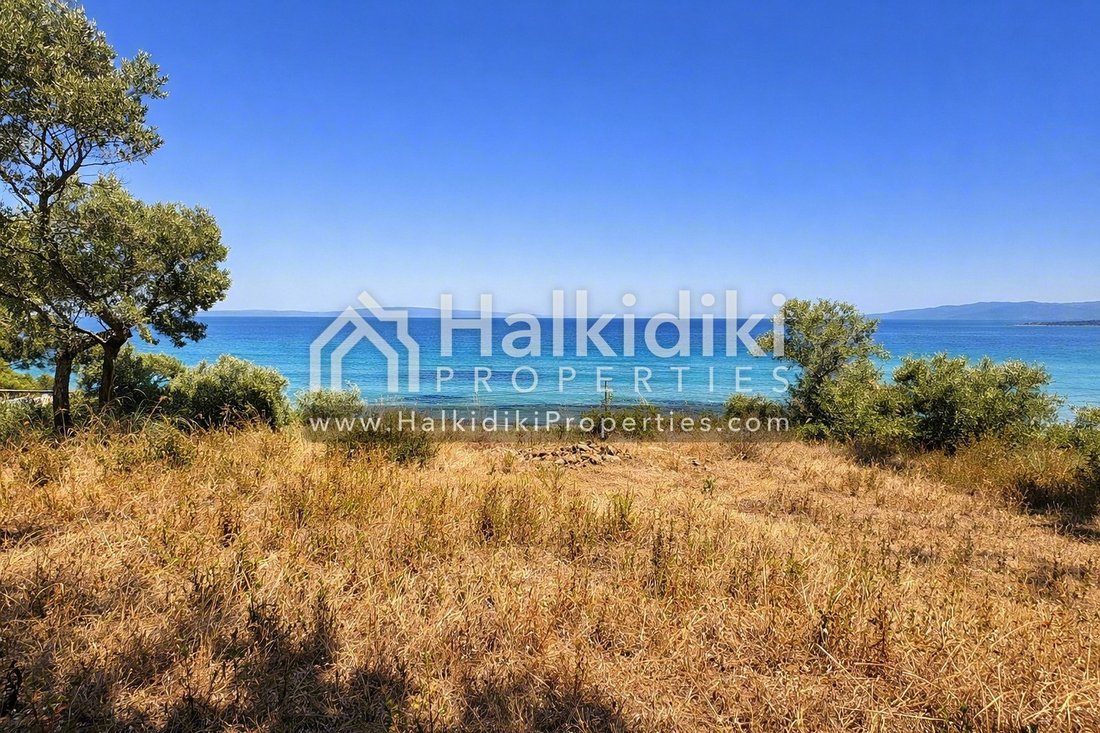 Land in Sithonia, Macedonia and Thrace, Greece 4 - 14613619