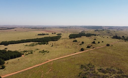 Farm Ranch in Elandsfontein AH, Gauteng, South Africa 1