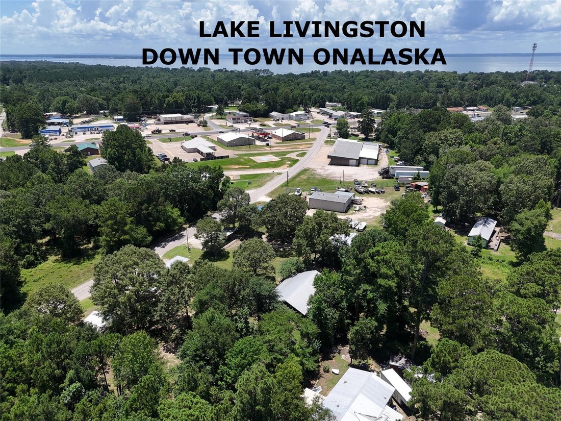 Apartment in Onalaska, Texas, United States 2 - 18322713