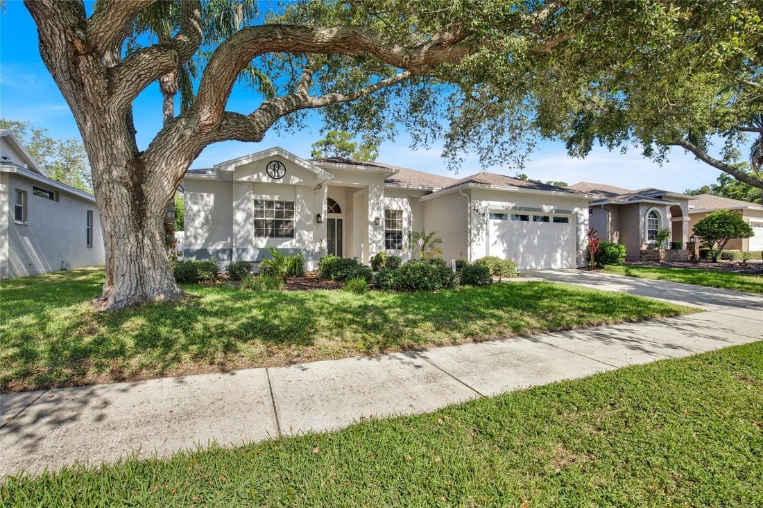 House in Safety Harbor, Florida, United States 2 - 18321116