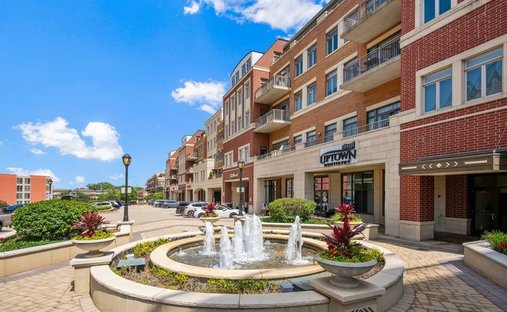 Condominio a Park Ridge, Illinois, Stati Uniti 1