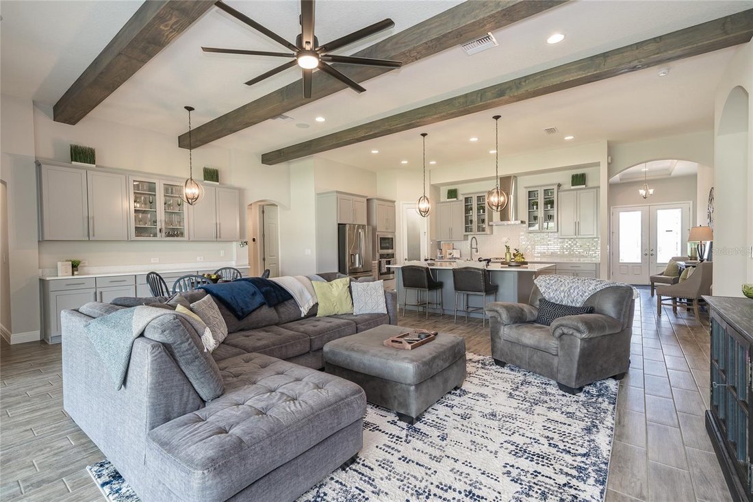 House in Land O' Lakes, Florida, United States 5 - 18318127
