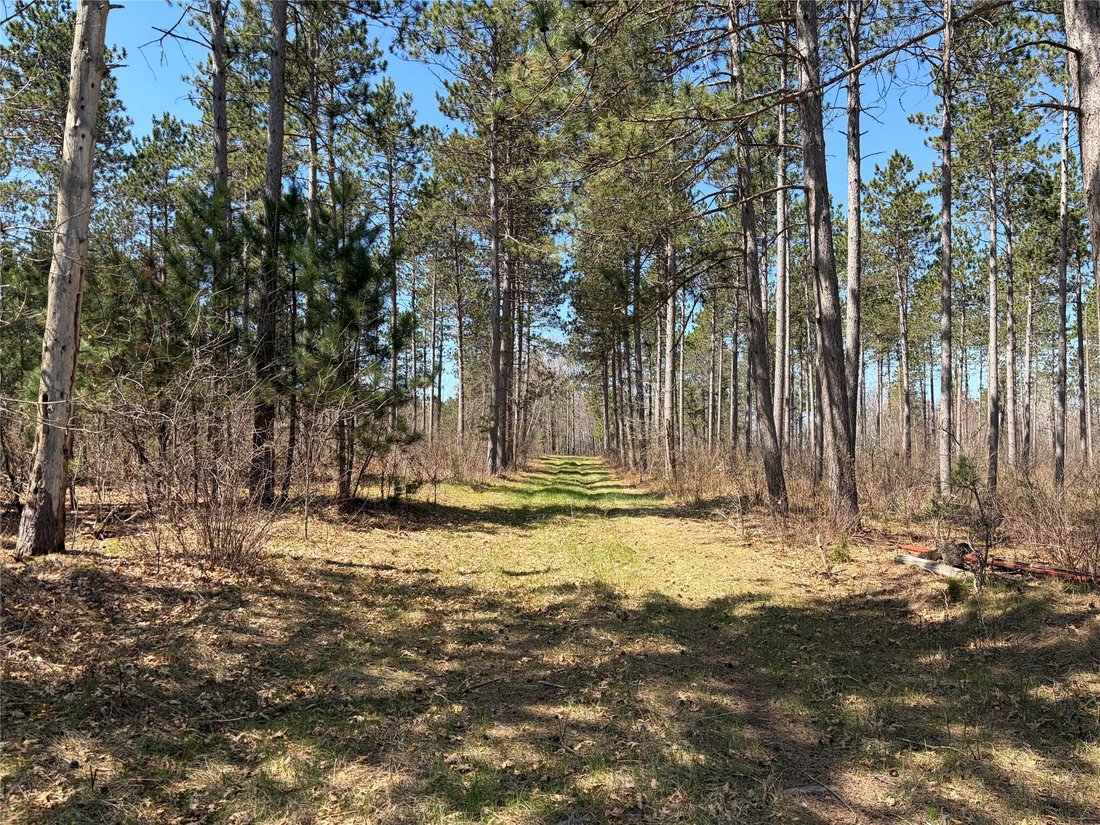 Land in Spooner, Wisconsin, United States 4 - 18322401