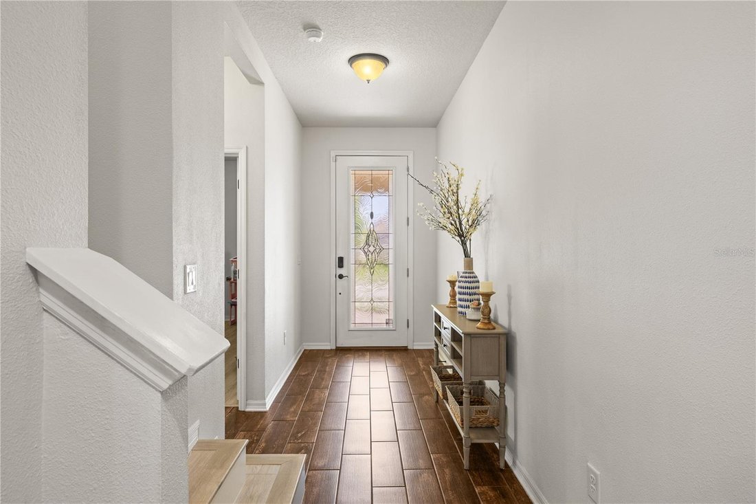 House in Odessa, Florida, United States 5 - 18321126