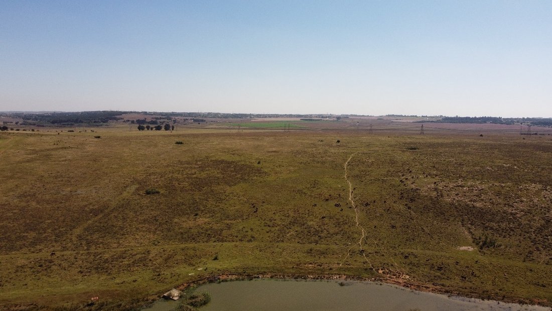 Farm Ranch in Pretoria, Gauteng, South Africa 1 - 14466480