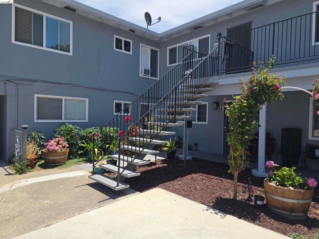 Hayward, California, United States 3 - 17296159