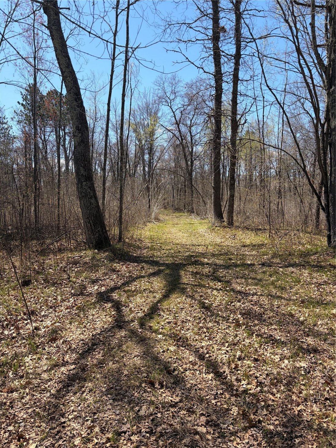 Land in Spooner, Wisconsin, United States 5 - 18322401