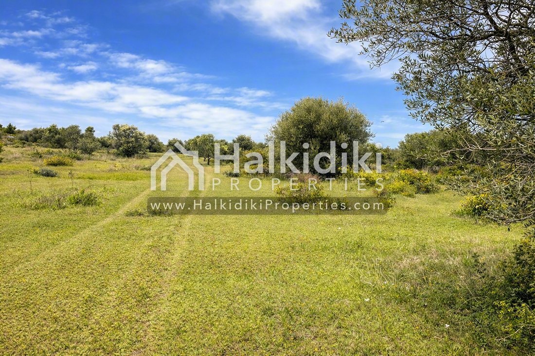 Land in Polygyros, Macedonia and Thrace, Greece 5 - 11864984