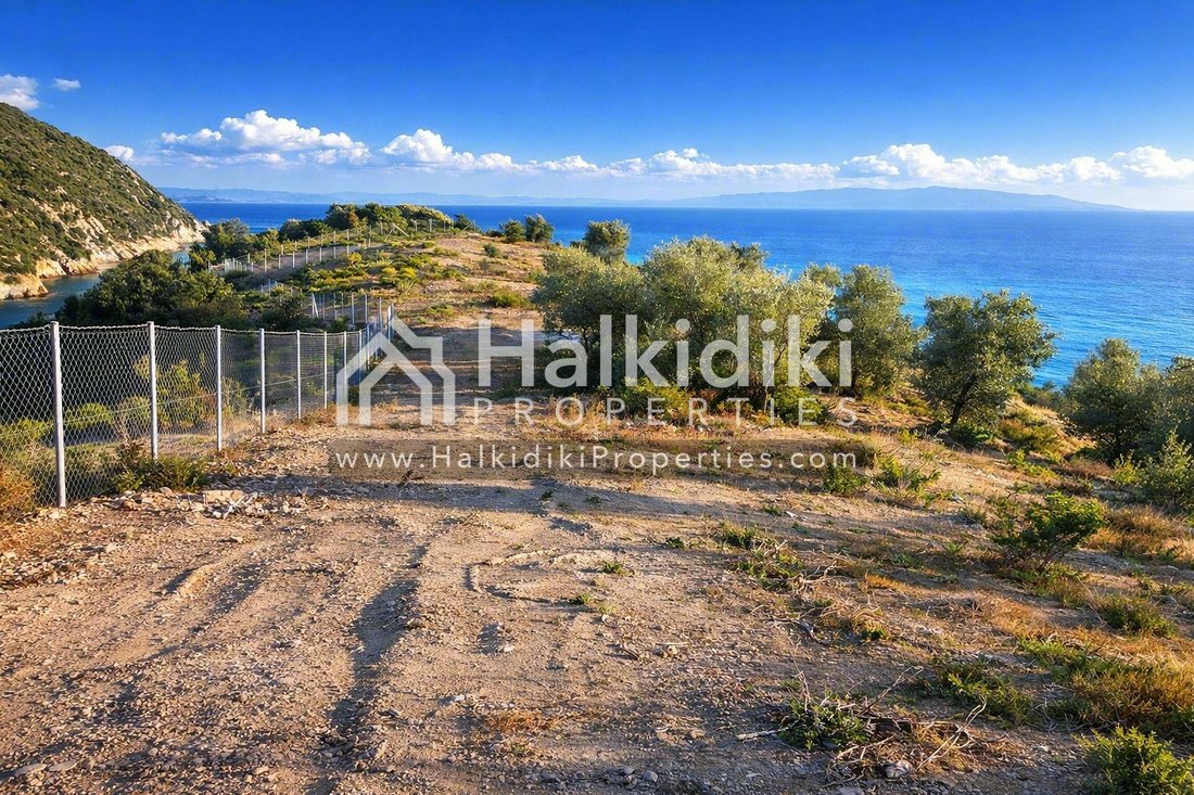Land in Aristotle, Macedonia and Thrace, Greece 5 - 11865059
