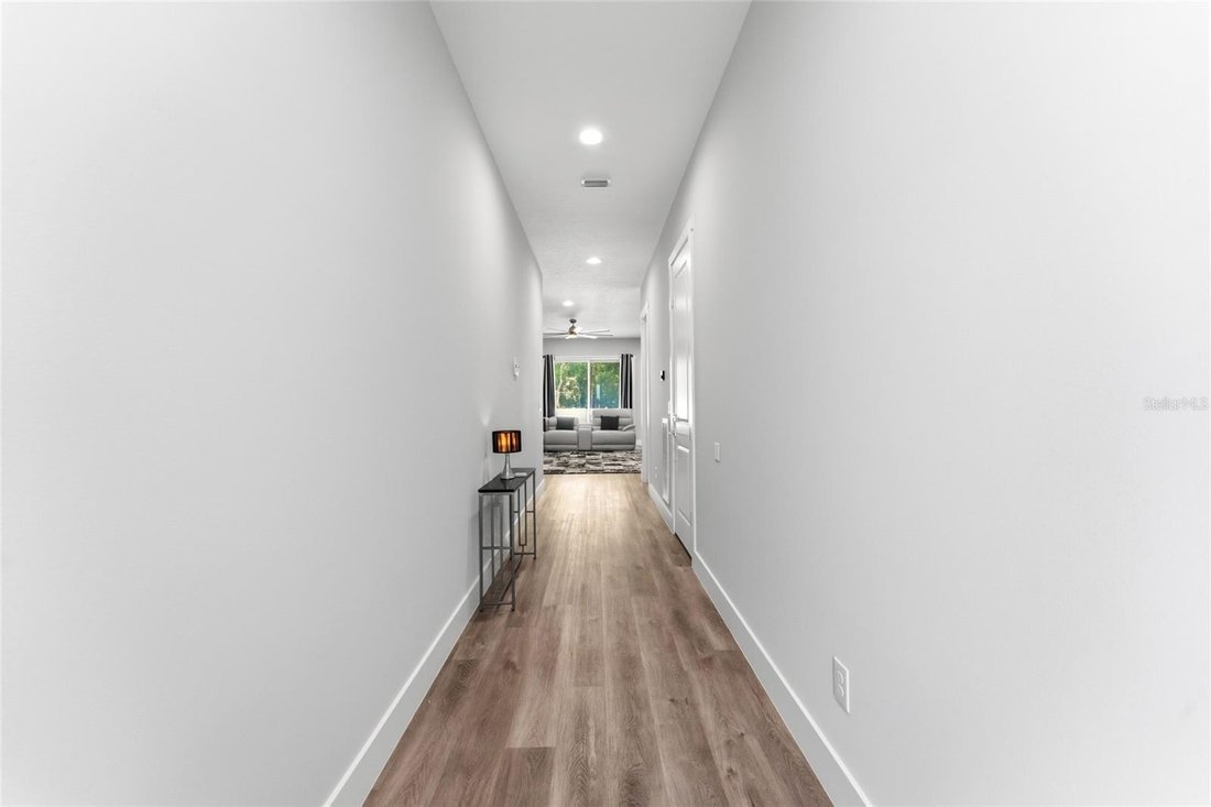 House in Tampa, Florida, United States 5 - 18321158
