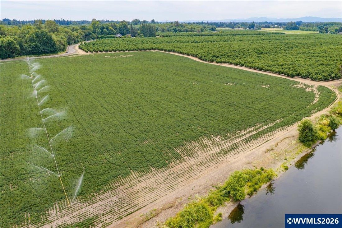 Land in Albany, Oregon, United States 3 - 18322433