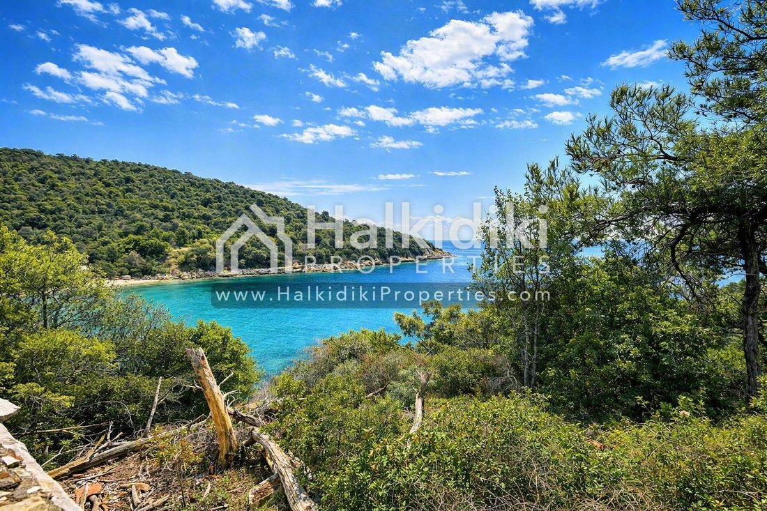 Land in Aristotle, Macedonia and Thrace, Greece 1 - 15298168