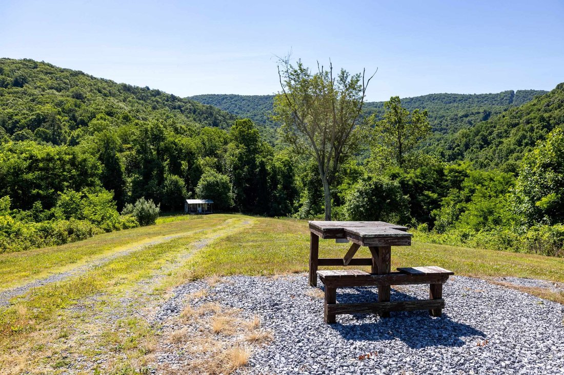 House in Elkton, Virginia, United States 5 - 18320756
