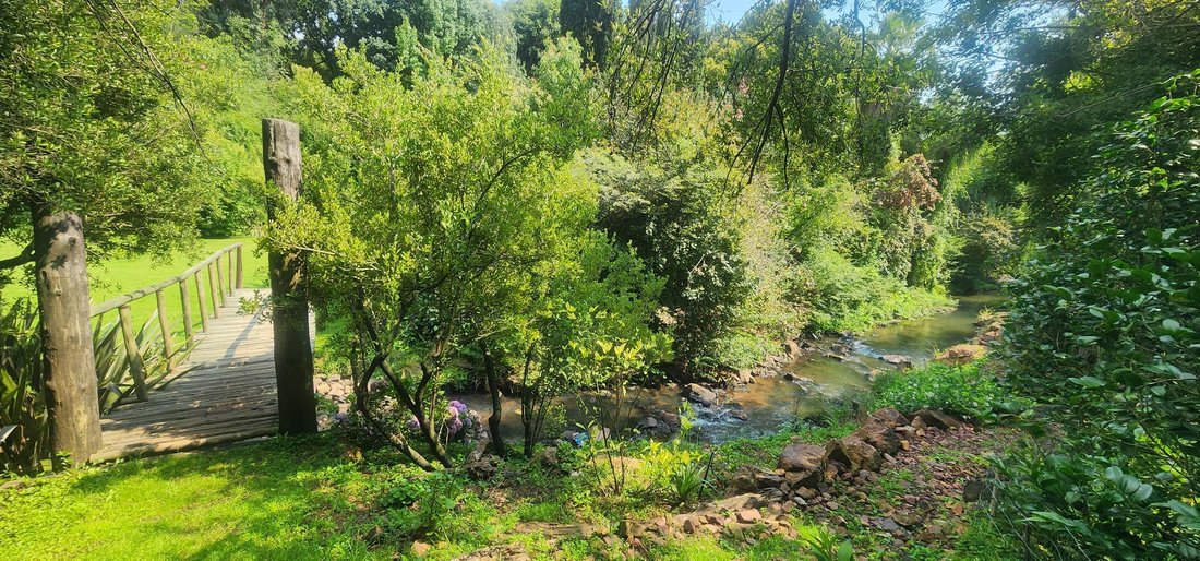 Farm Ranch in Bankenveld, Mpumalanga, South Africa 5 - 16964768