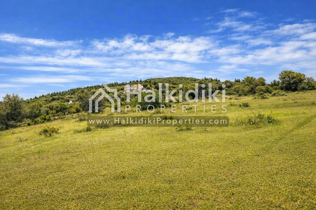 Land in Polygyros, Macedonia and Thrace, Greece 3 - 11864984