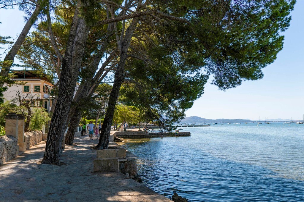 Apartment in Pollenca, Balearic Islands, Spain 2 - 18323105