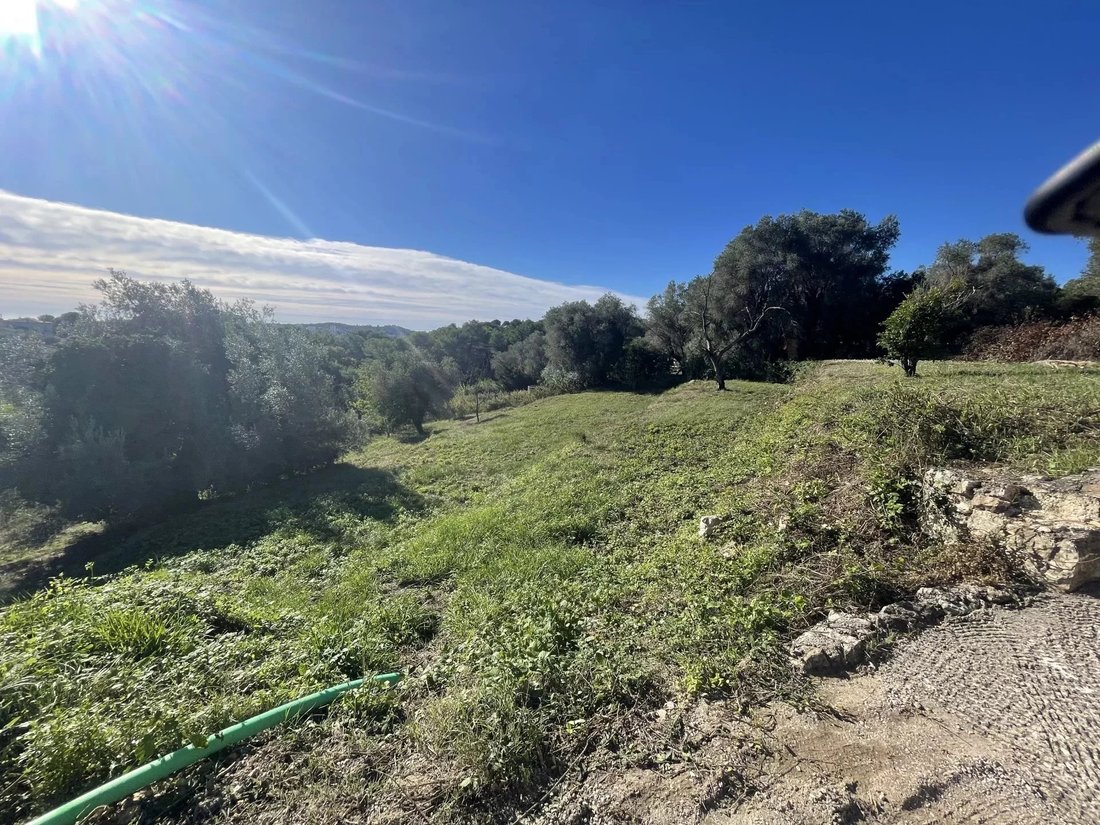 Land in Mougins, Provence-Alpes-Côte d'Azur, France 3 - 18321190