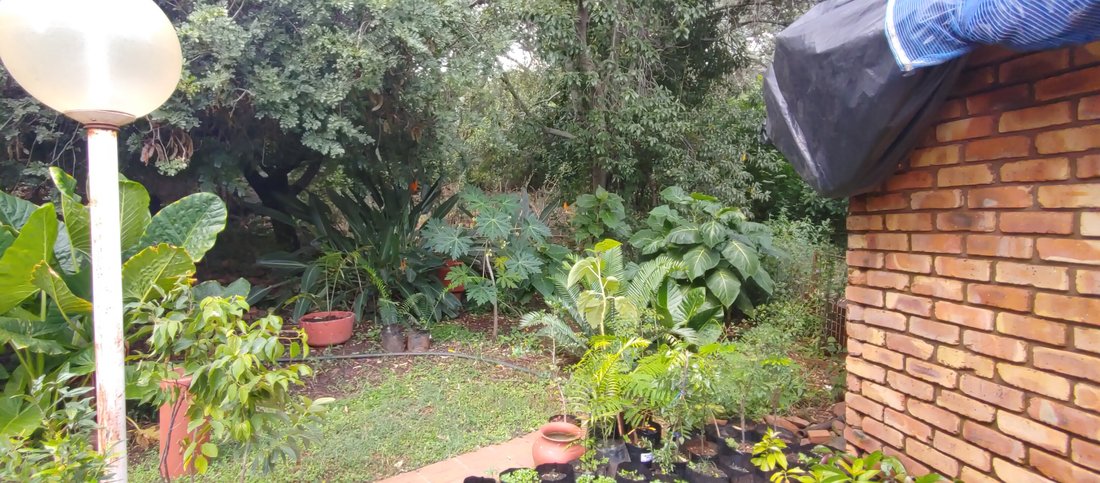 Farm Ranch in City of Tshwane Metropolitan Municipality, Gauteng, South Africa 5 - 15941768