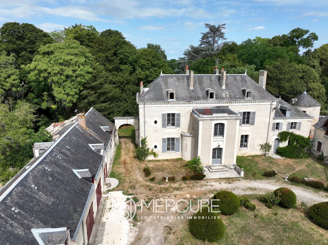 Estate in Le Blanc, Centre-Val de Loire, France 4 - 18319736