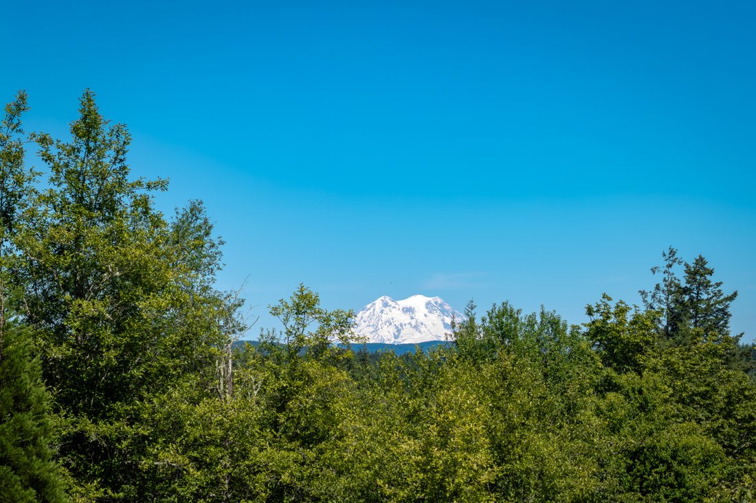 House in Tenino, Washington, United States 3 - 18320471