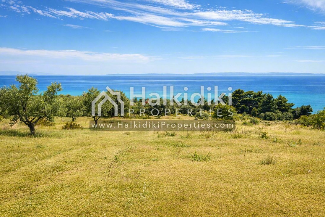 Land in Polygyros, Macedonia and Thrace, Greece 4 - 11864984