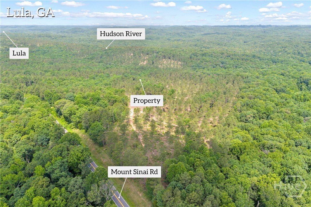 Land in Lula, Georgia, United States 5 - 18319151