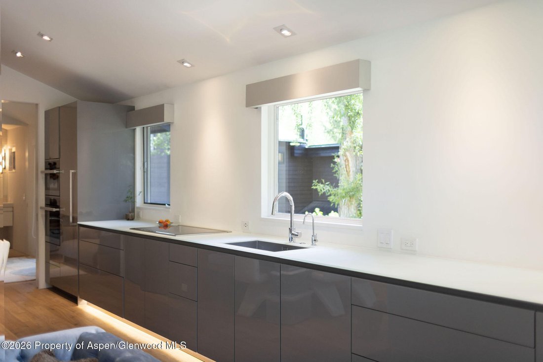 Appartement à Aspen, Colorado, États-Unis 1 - 18322729