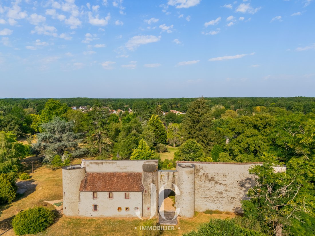 House in Villefranche-sur-Cher, Centre-Val de Loire, France 2 - 18313575