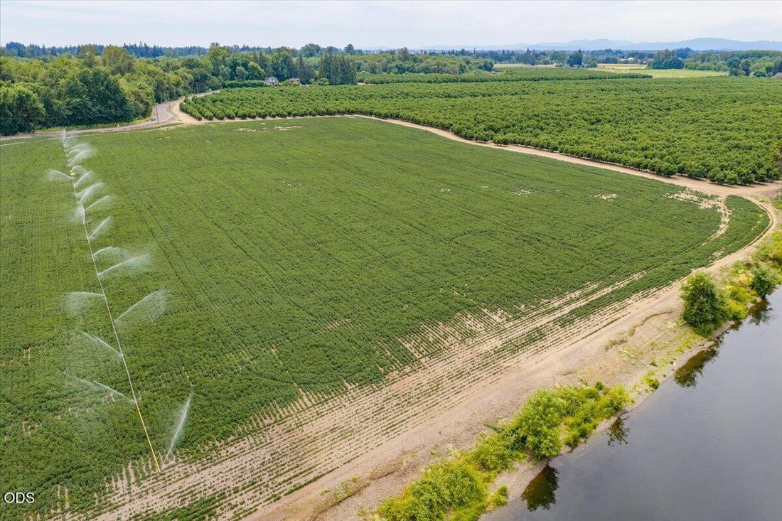 Azienda agricola a Albany, Oregon, Stati Uniti 3 - 18322354