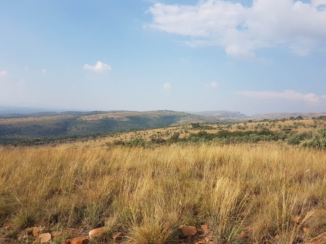 Farm Ranch in Rustenburg, North West, South Africa 2 - 14585806