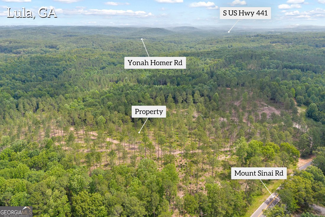 Land in Lula, Georgia, United States 4 - 18319088