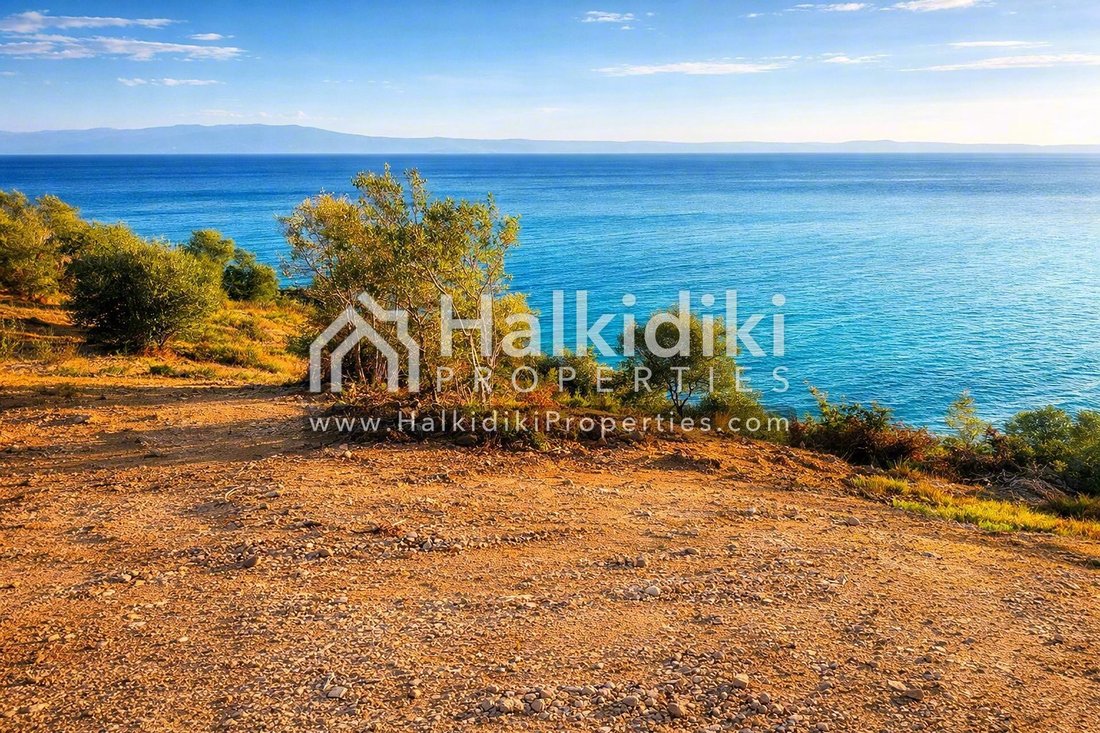 Land in Aristotle, Macedonia and Thrace, Greece 4 - 11865059