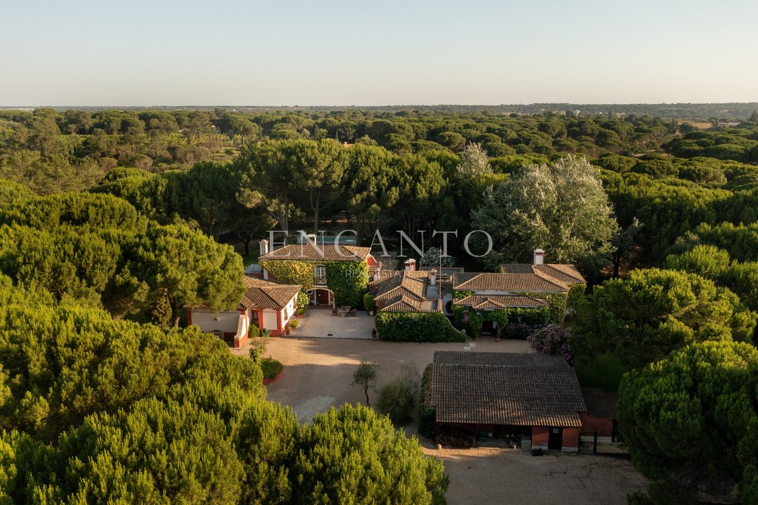 Finca in Santo Estevao, Santarem District, Portugal 3 - 18323073