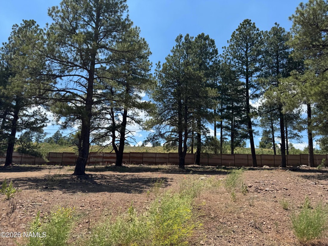 House in Flagstaff, Arizona, United States 2 - 18321308