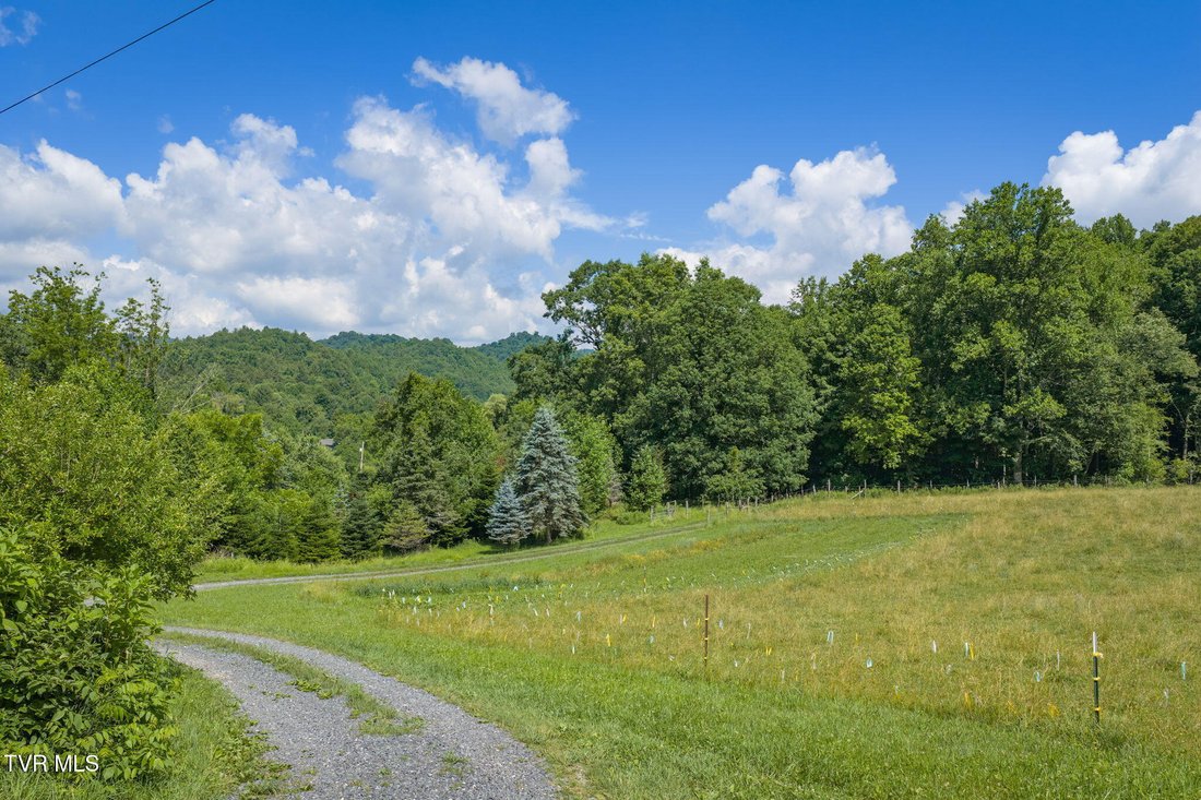 House in Roan Mountain, Tennessee, United States 4 - 18321411