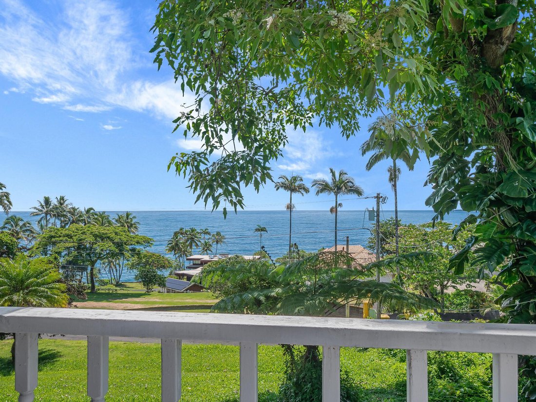 House in Hilo, Hawaii, United States 4 - 18287500
