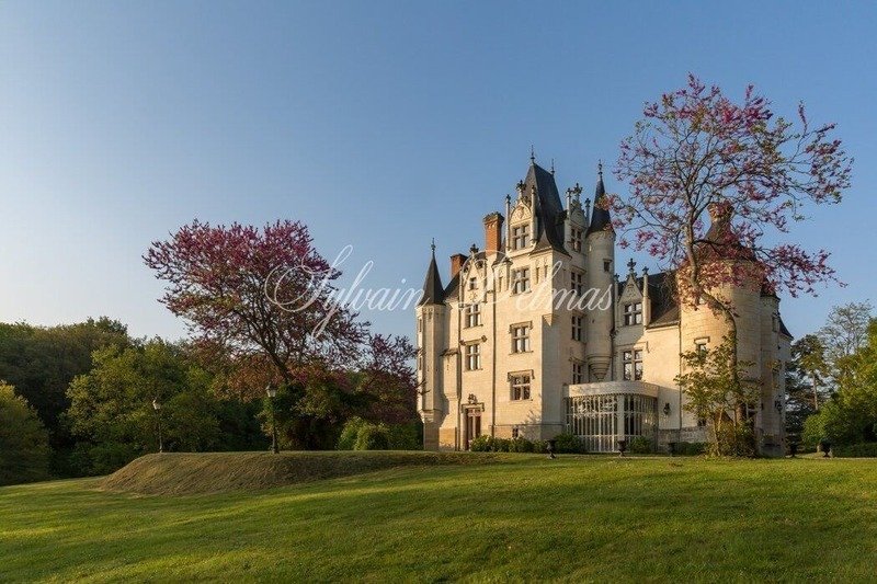 Castle in Grammont, Tours, France 2 - 18322762