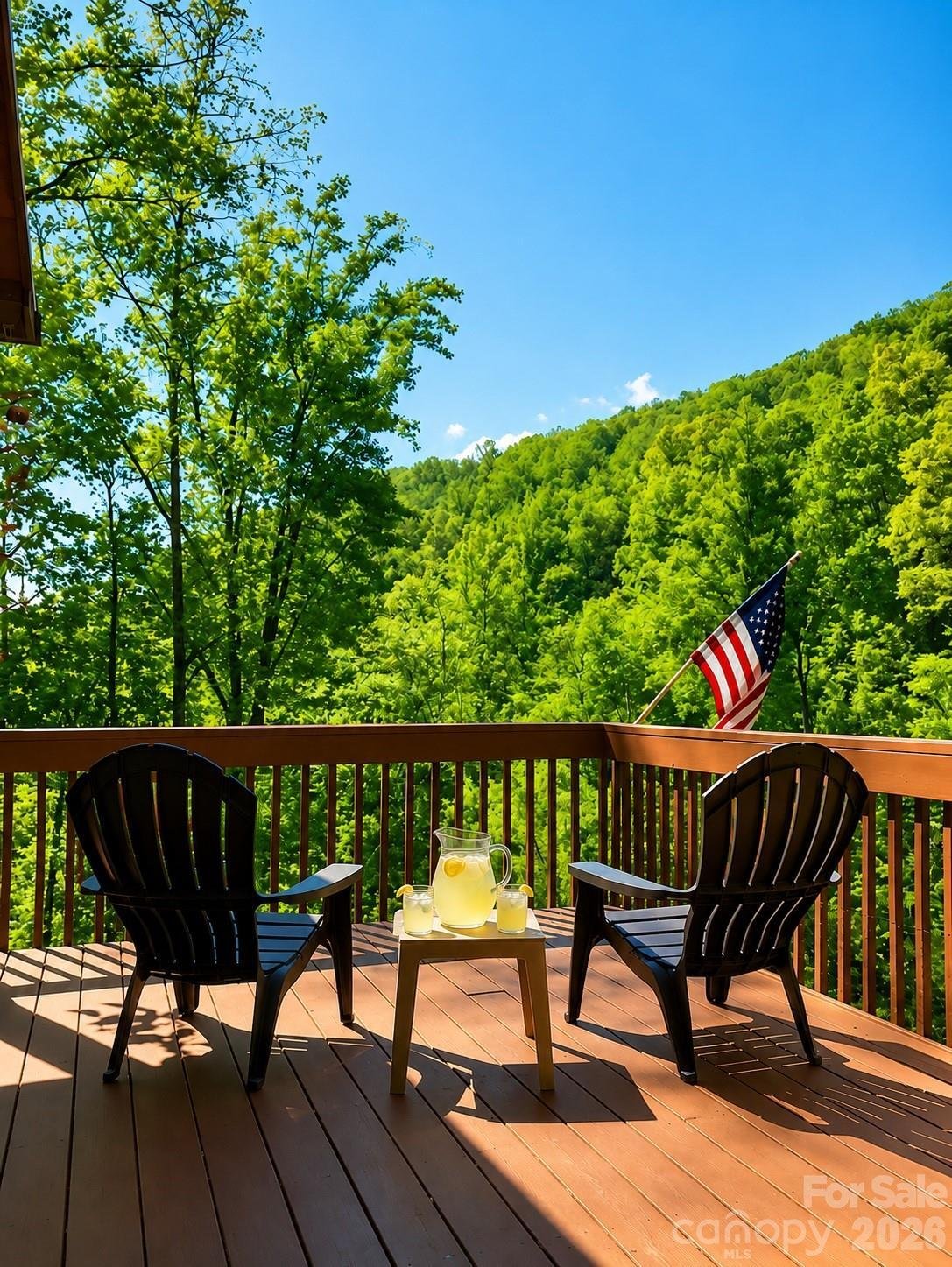 House in Weaverville, North Carolina, United States 2 - 17549059