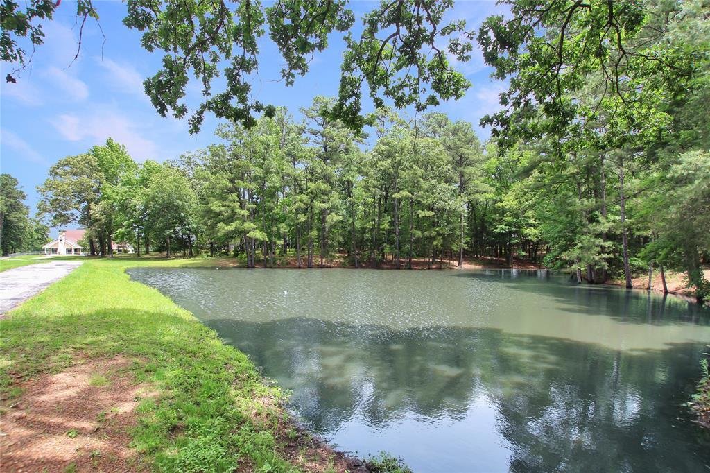House in Jacksonville, Texas, United States 4 - 18322266