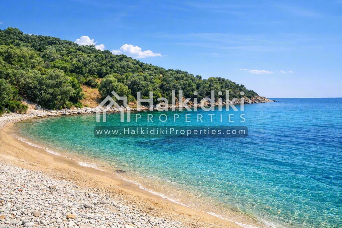 Land in Aristotle, Macedonia and Thrace, Greece 5 - 16609609