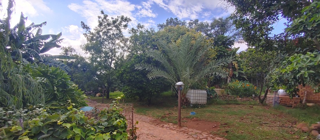 Farm Ranch in City of Tshwane Metropolitan Municipality, Gauteng, South Africa 4 - 15941768