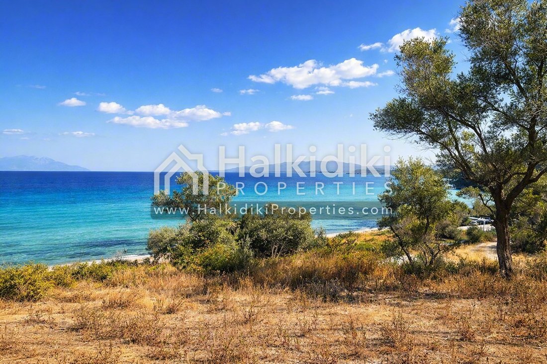 Land in Sithonia, Macedonia and Thrace, Greece 5 - 14613619